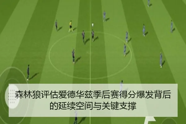 森林狼评估爱德华兹季后赛得分爆发背后的延续空间与关键支撑