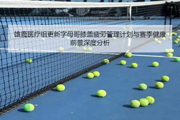 雄鹿医疗组更新字母哥膝盖疲劳管理计划与赛季健康前景深度分析